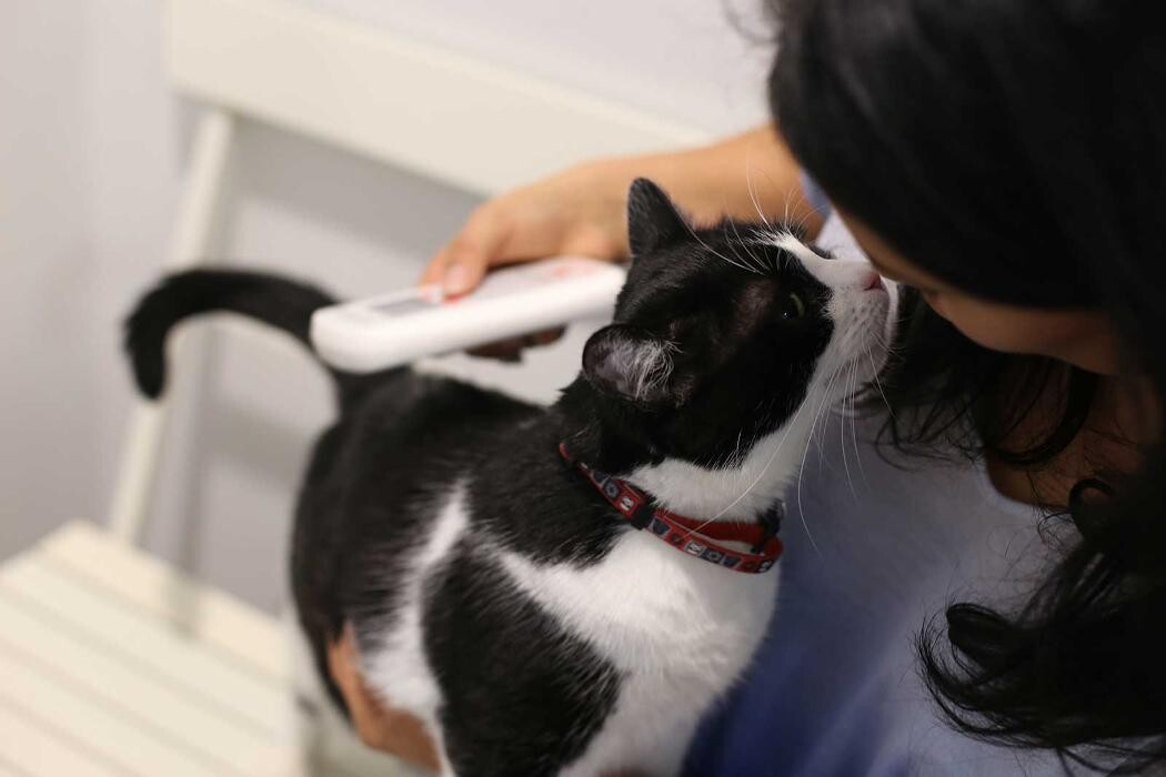 Images Apple Valley Veterinary Clinic