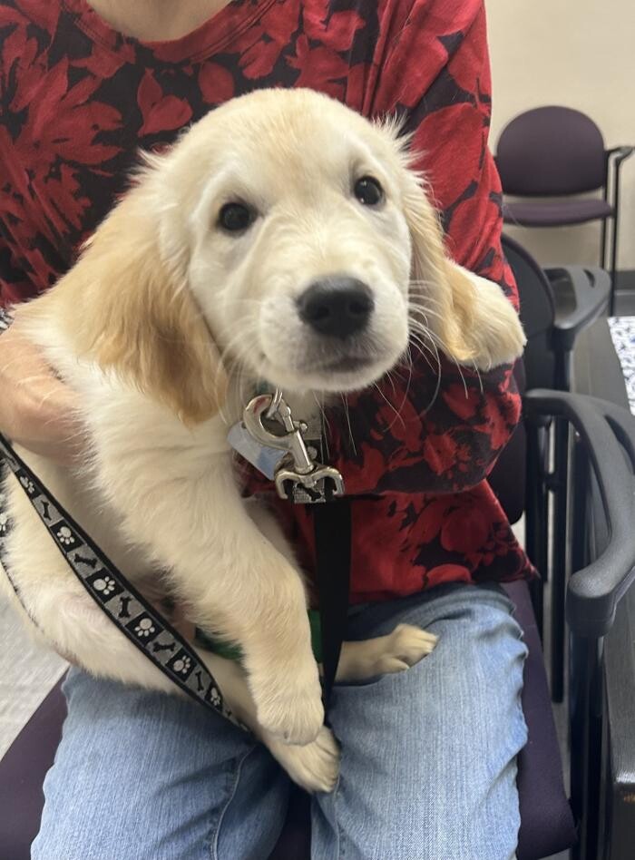 Images Apple Valley Veterinary Clinic