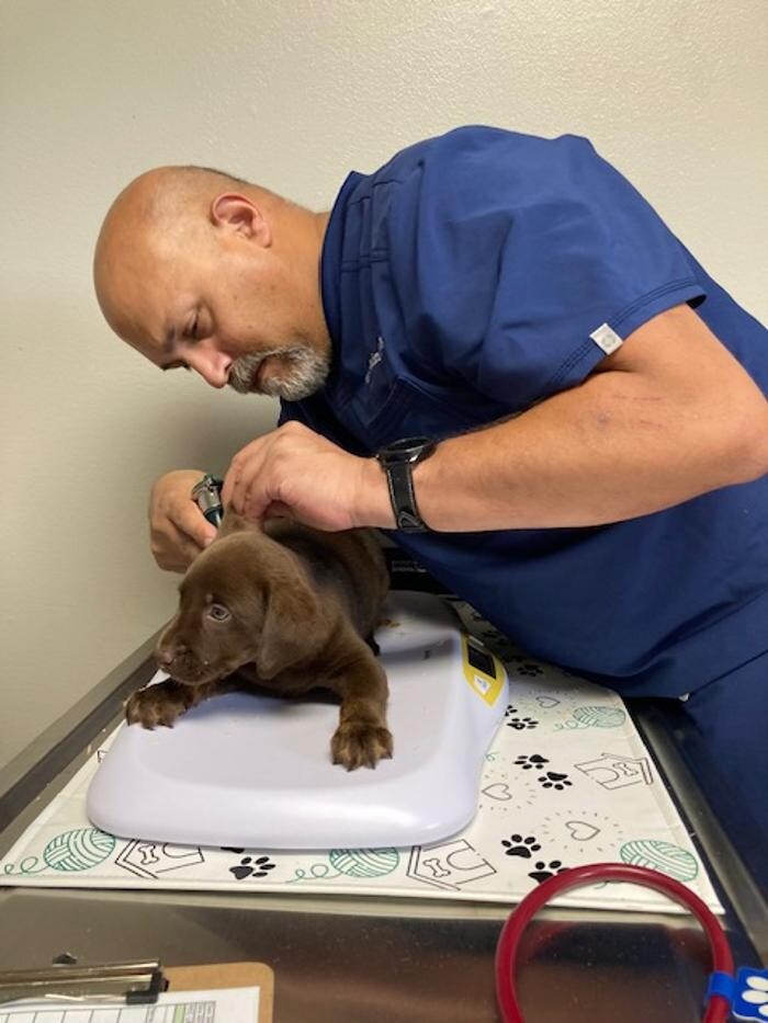Images Apple Valley Veterinary Clinic