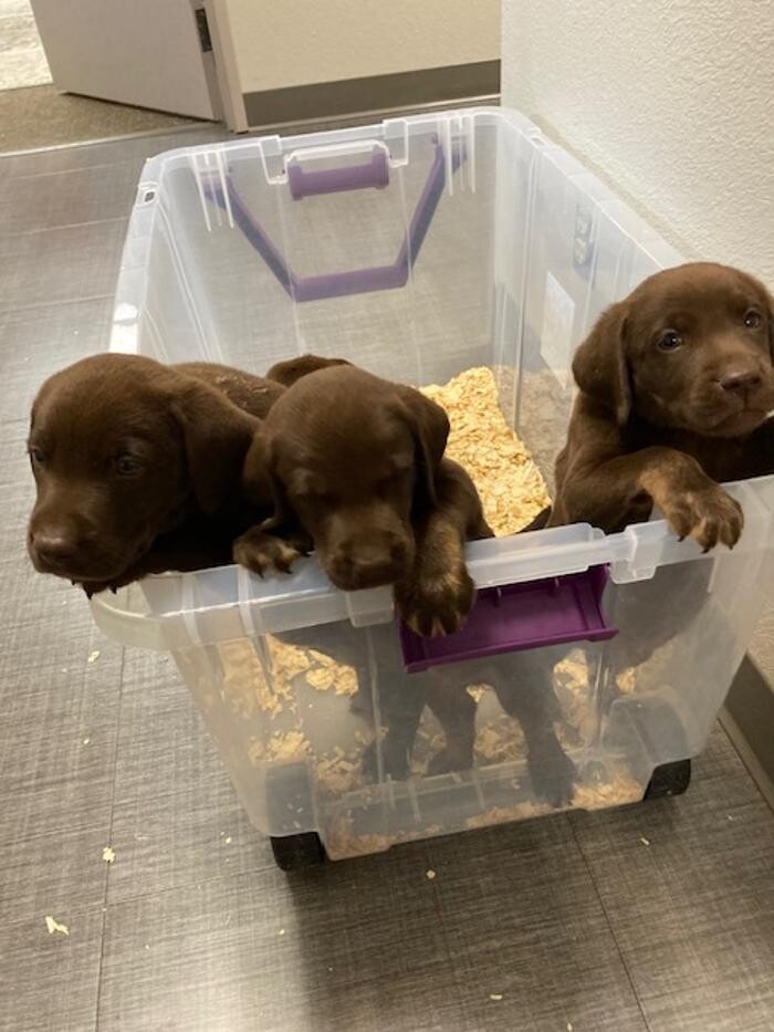 Images Apple Valley Veterinary Clinic