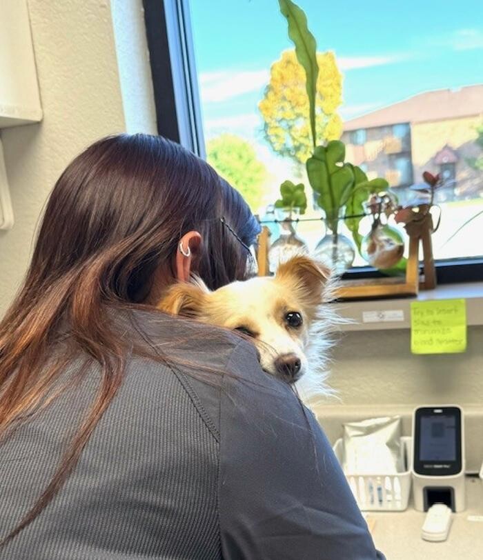 Images Apple Valley Veterinary Clinic