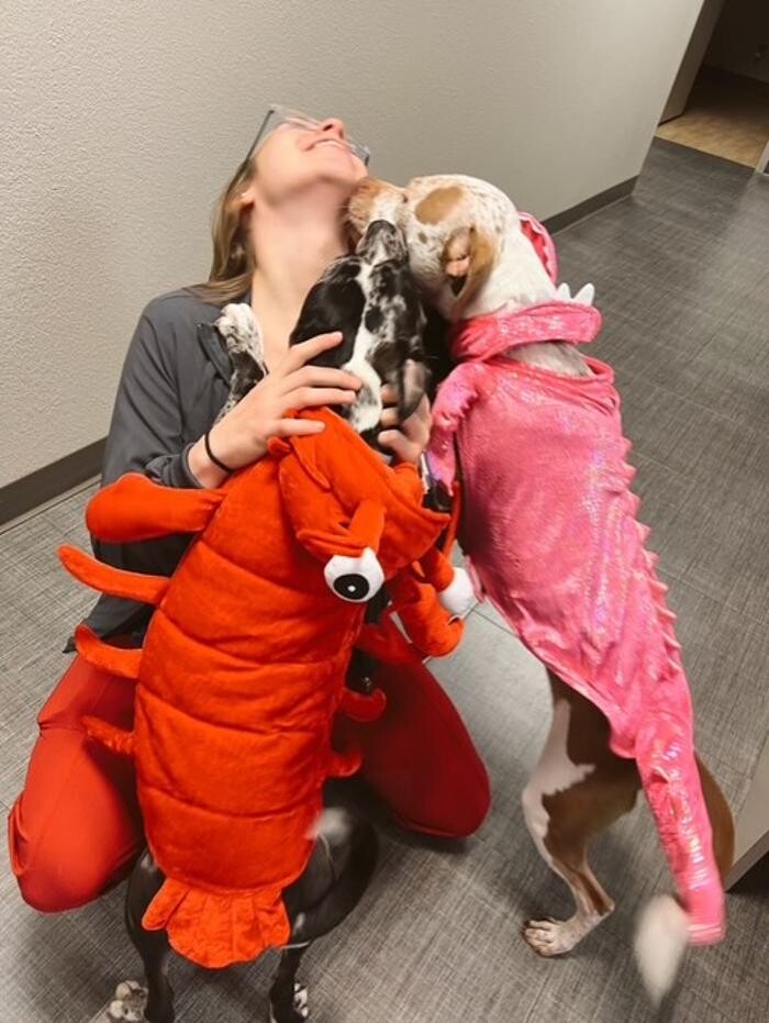 Images Apple Valley Veterinary Clinic