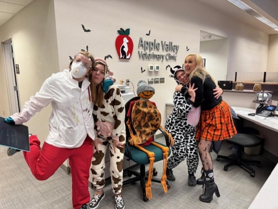 Images Apple Valley Veterinary Clinic