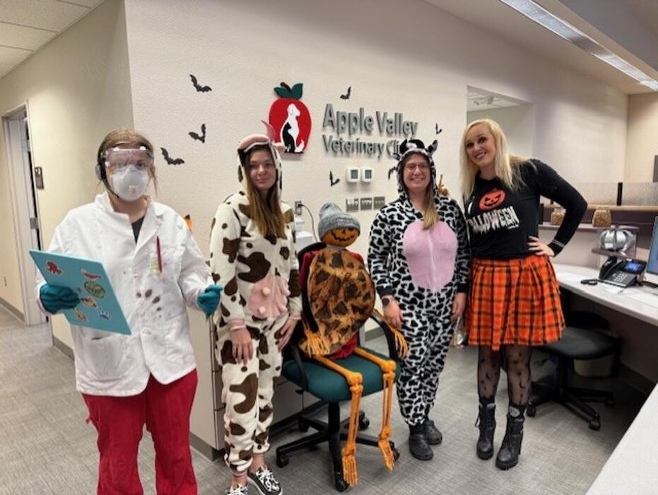 Images Apple Valley Veterinary Clinic