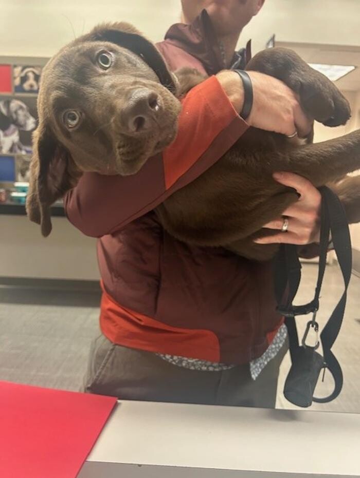 Images Apple Valley Veterinary Clinic