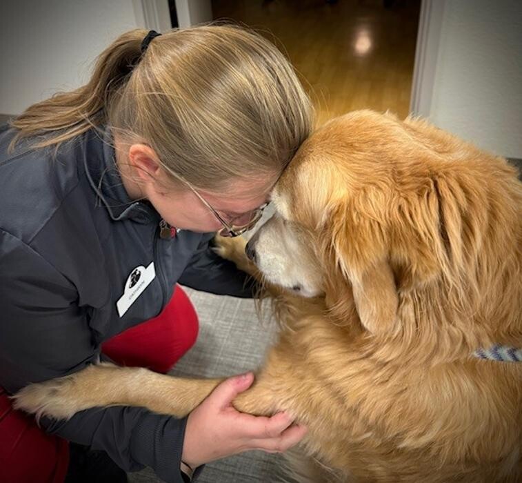 Images Apple Valley Veterinary Clinic
