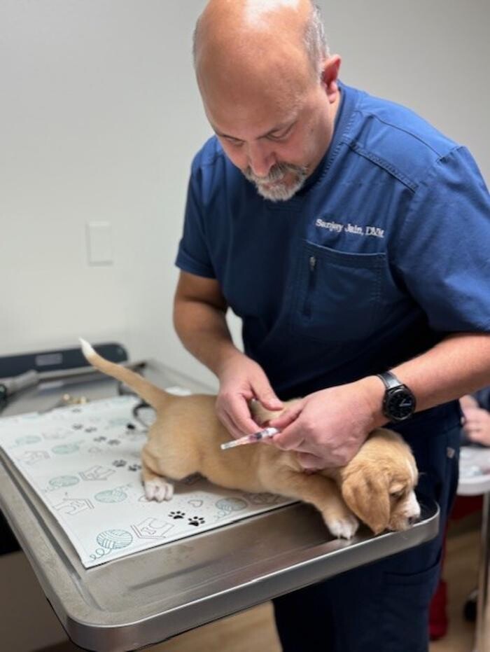 Images Apple Valley Veterinary Clinic