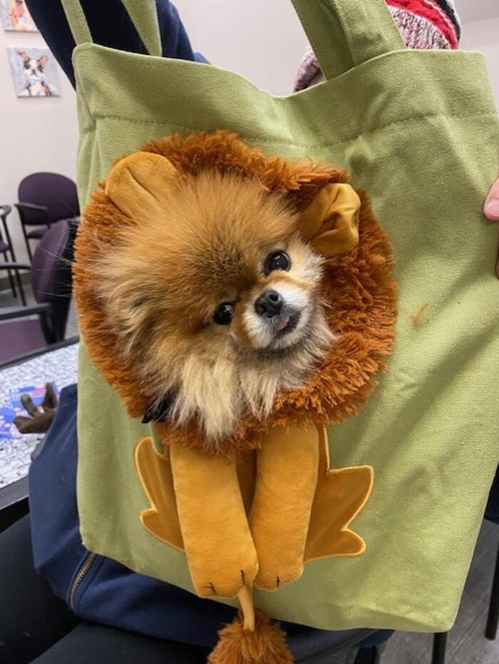 Images Apple Valley Veterinary Clinic
