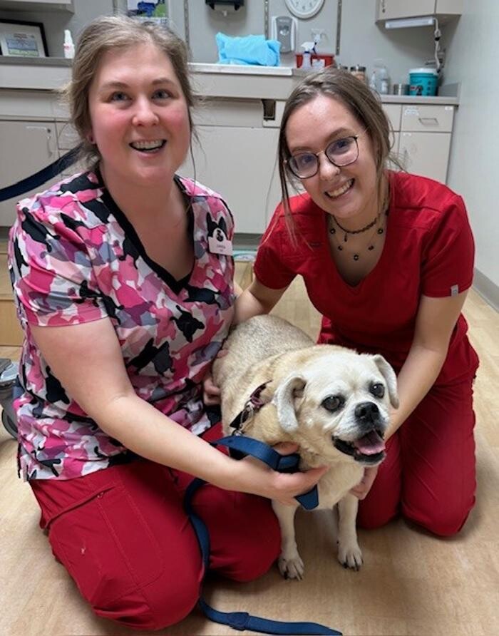 Images Apple Valley Veterinary Clinic