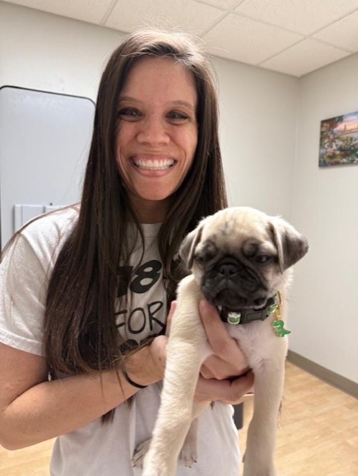 Images Apple Valley Veterinary Clinic