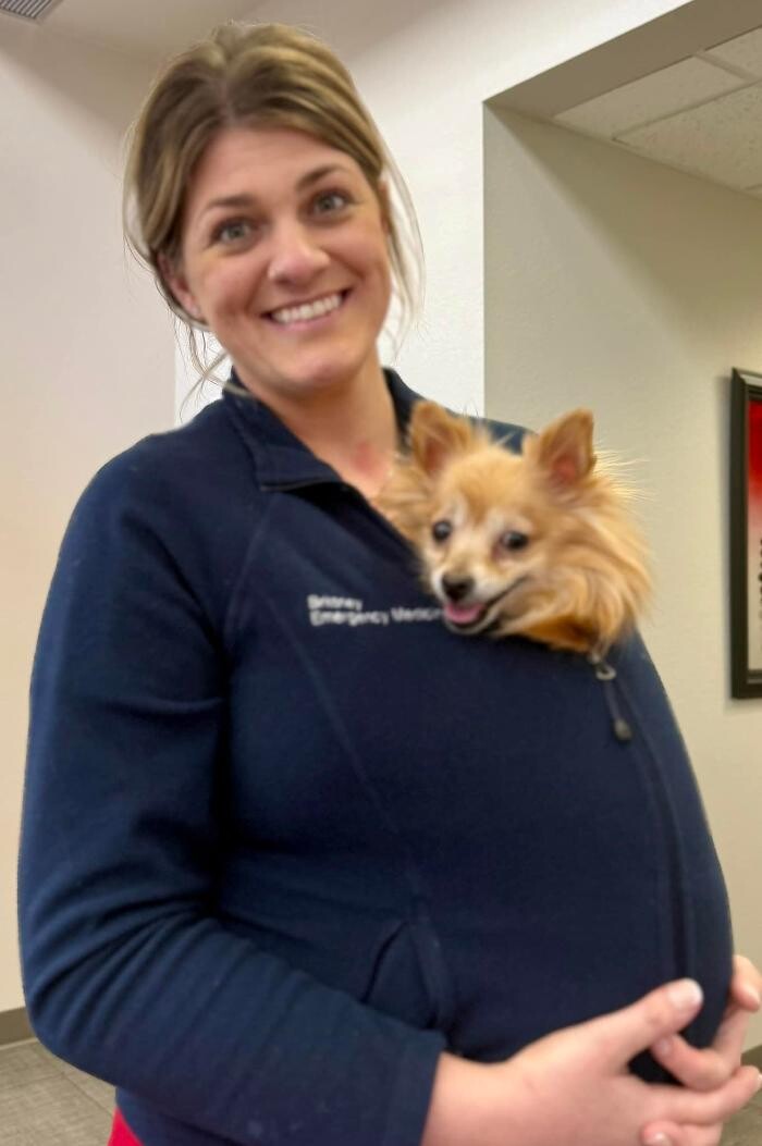 Images Apple Valley Veterinary Clinic