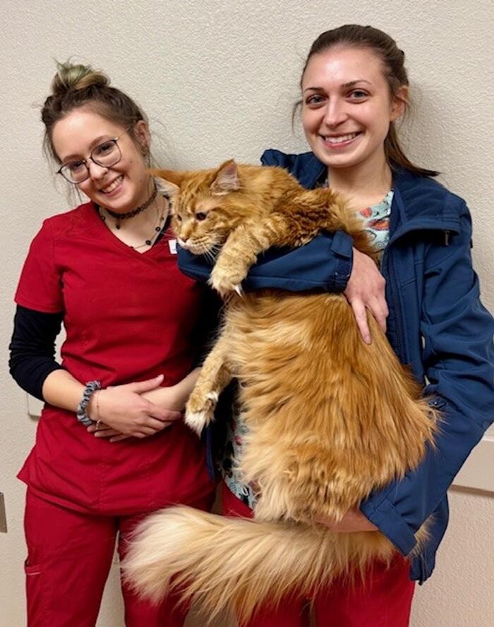 Images Apple Valley Veterinary Clinic