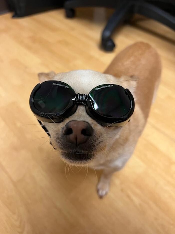Images Apple Valley Veterinary Clinic