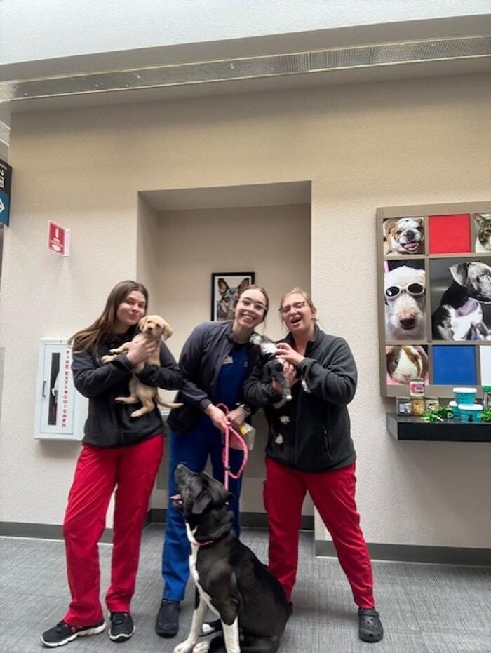 Images Apple Valley Veterinary Clinic