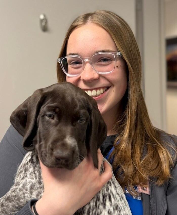 Images Apple Valley Veterinary Clinic