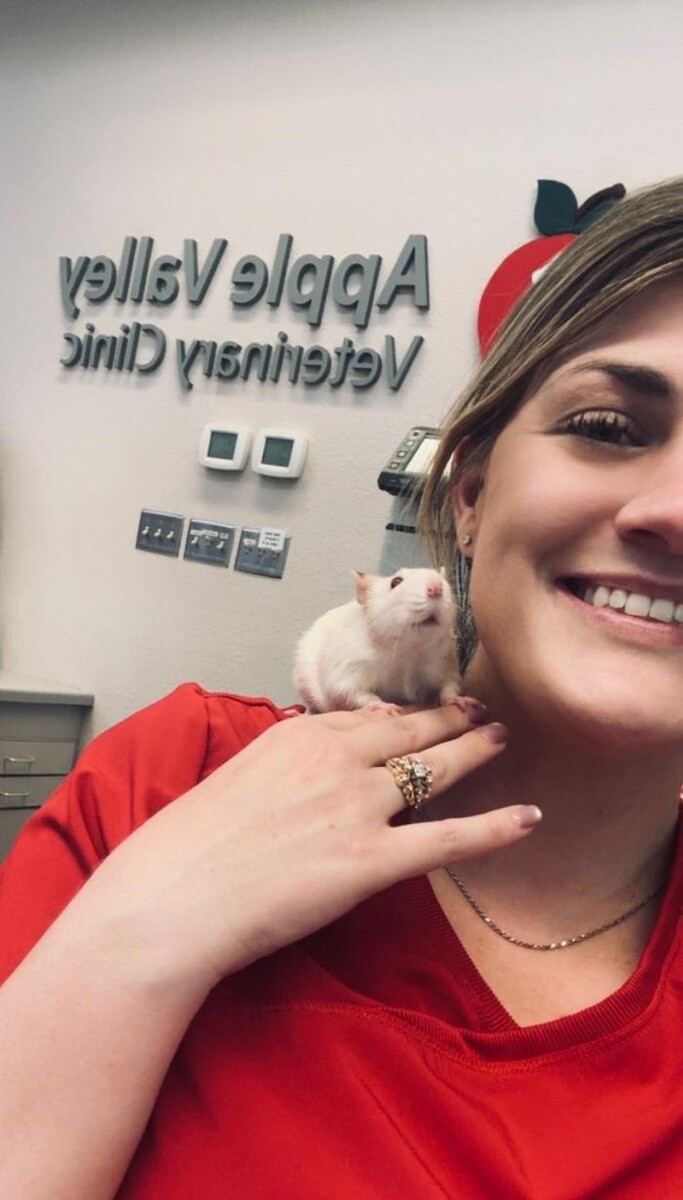 Images Apple Valley Veterinary Clinic