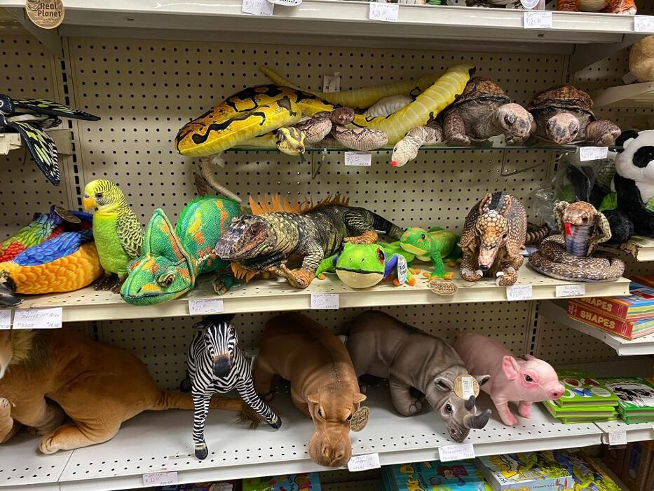 Images Party Productions Inc.