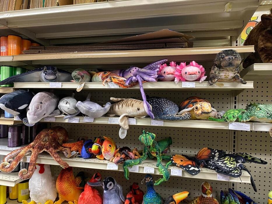 Images Party Productions Inc.