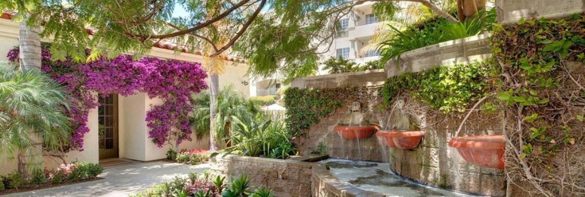 Images La Vida Del Mar