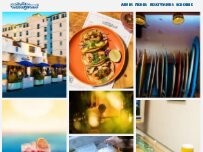 Website Screenshot Animal Medical Center