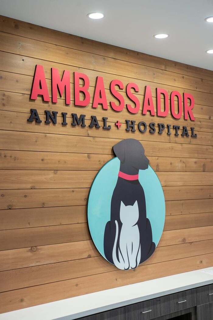 Images Ambassador Animal Hospital