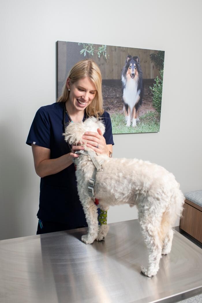 Images Ambassador Animal Hospital