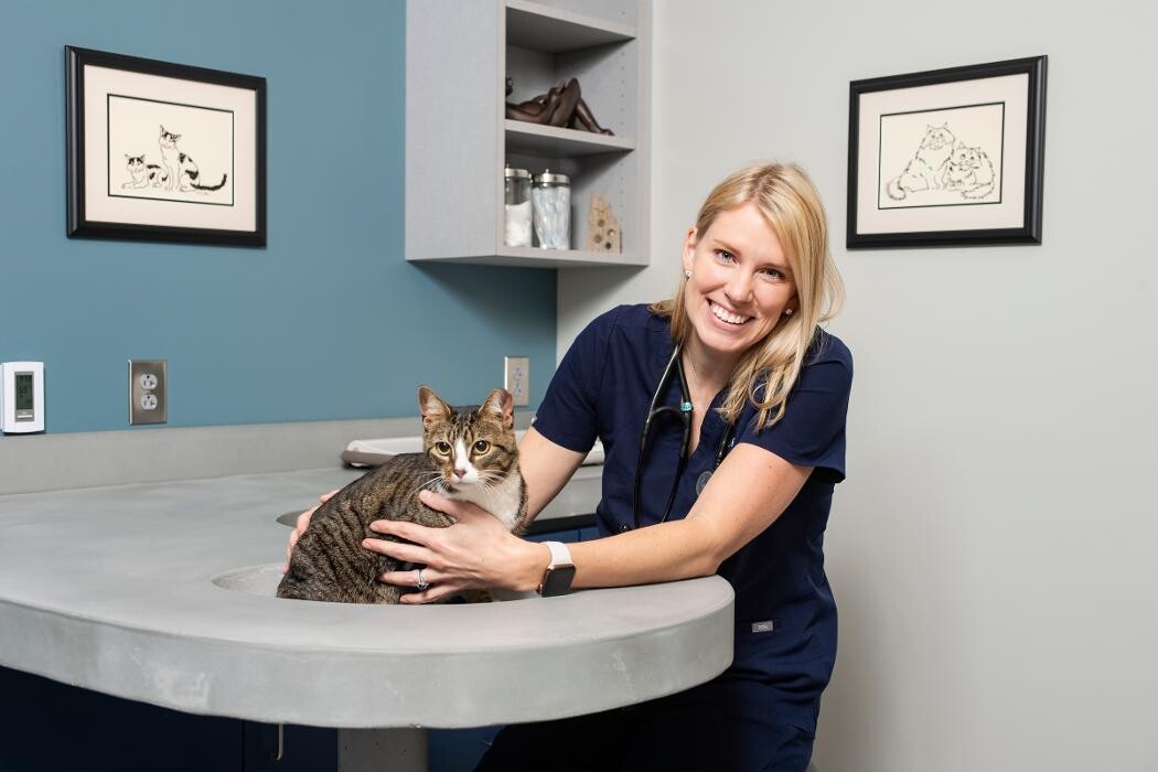 Images Ambassador Animal Hospital