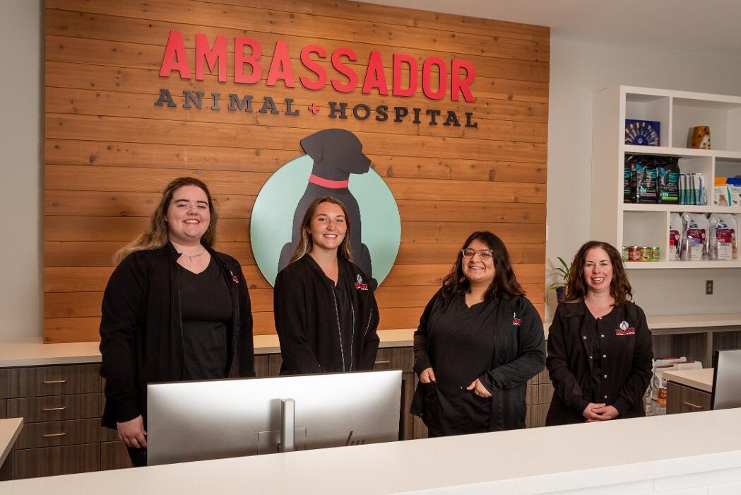 Images Ambassador Animal Hospital