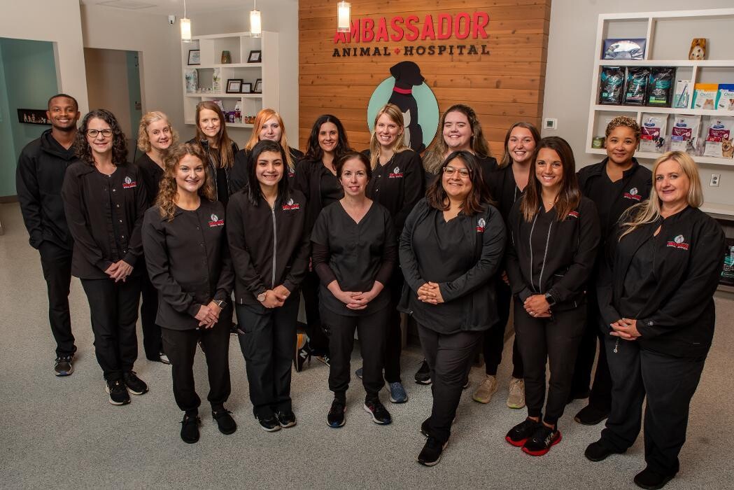 Images Ambassador Animal Hospital