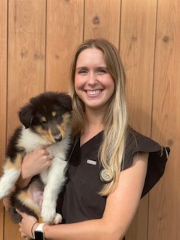 Images Ambassador Animal Hospital
