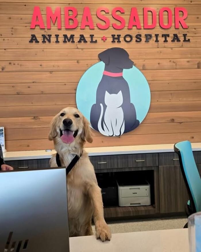 Images Ambassador Animal Hospital