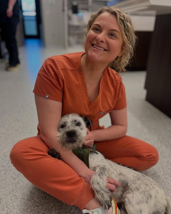 Images Ambassador Animal Hospital