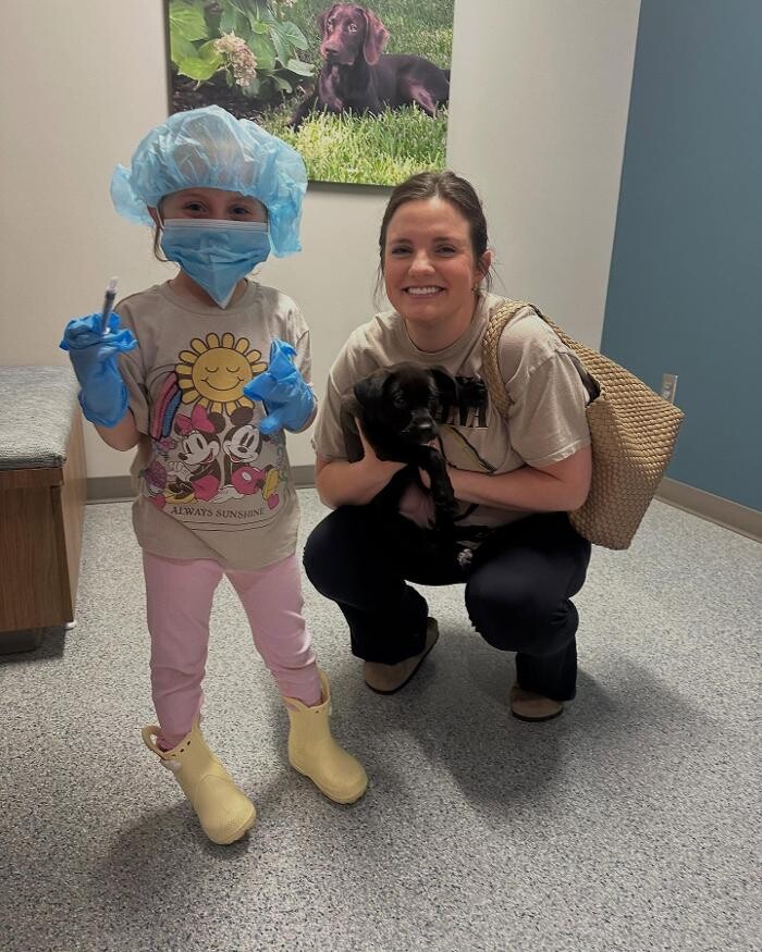 Images Ambassador Animal Hospital