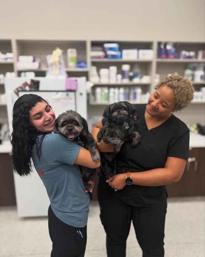 Images Ambassador Animal Hospital