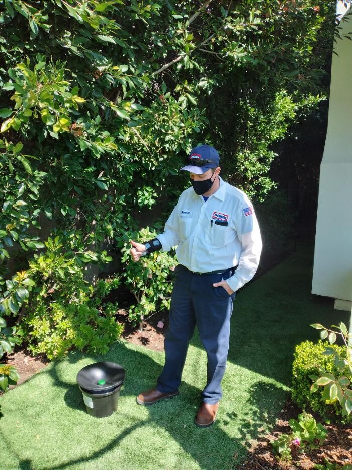 Images Dewey Pest & Termite Control