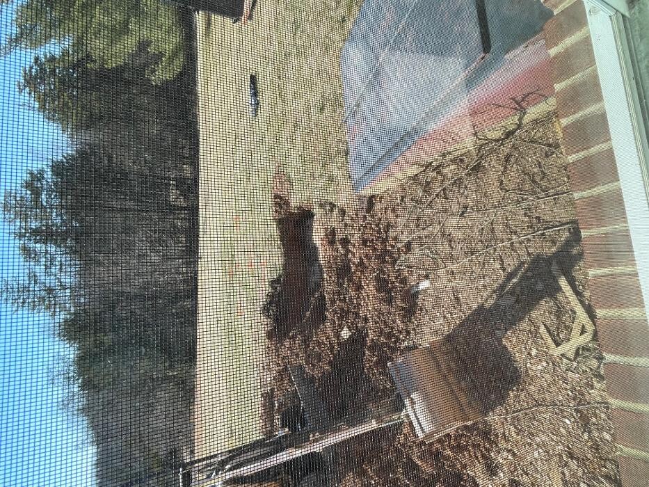 Images Hauptman Builders