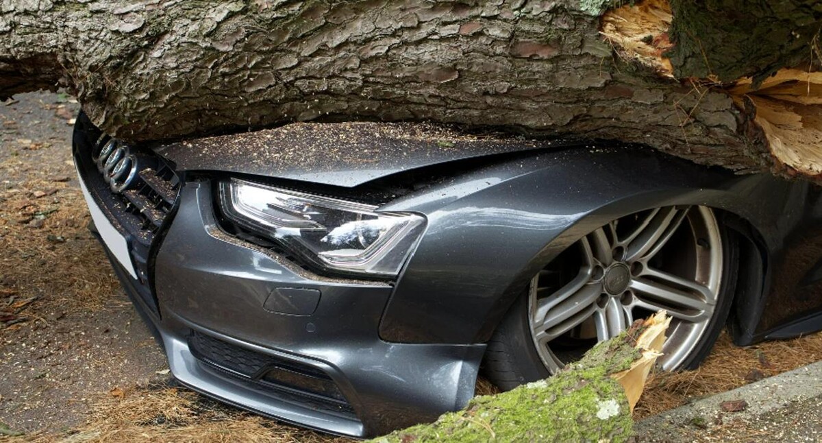 Images Phillippe Auto Body