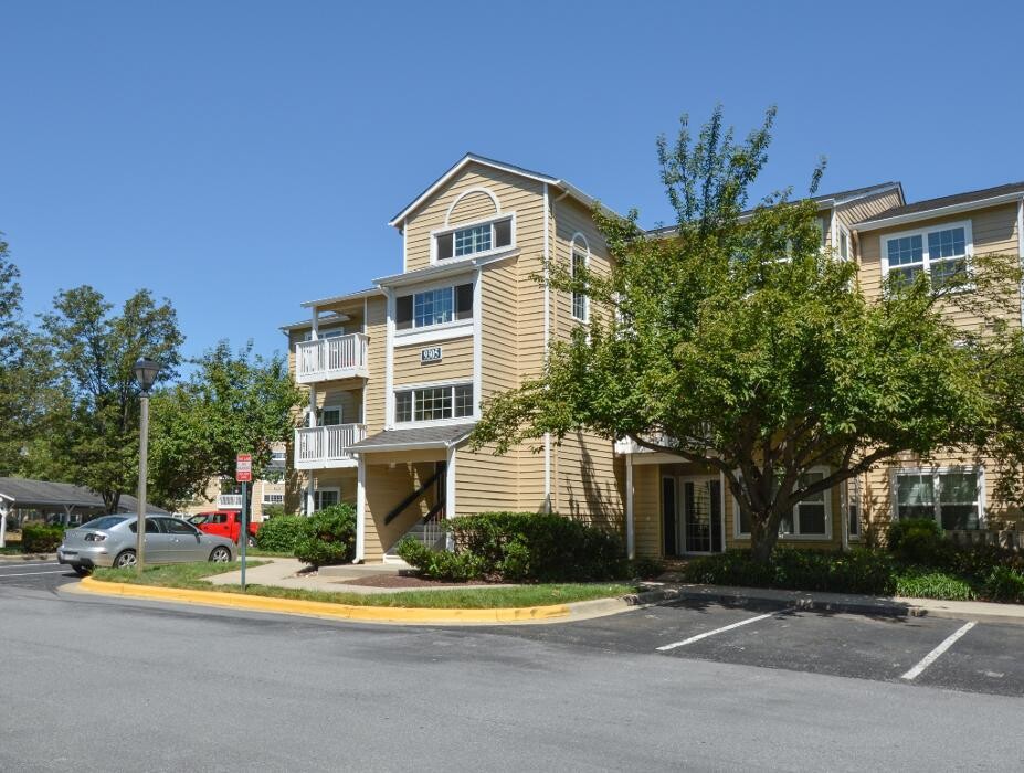 Images Spring House Apartments