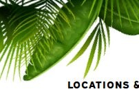 Website Screenshot Rainforest Cafe