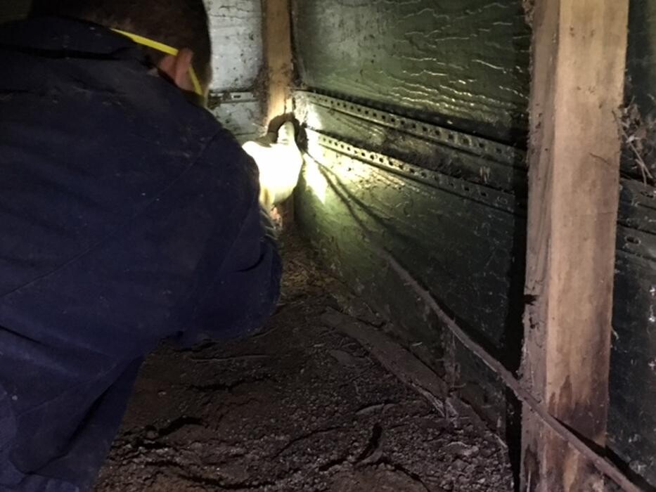 Images W.A. Stone Pest Control Inc.