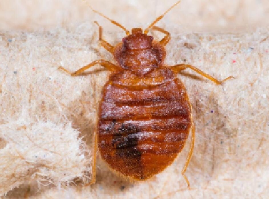 Images W.A. Stone Pest Control Inc.