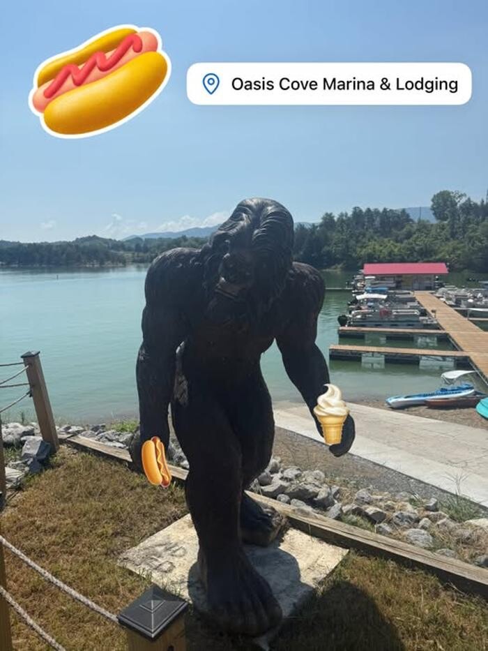 Images OASIS COVE MARINA & LODGING