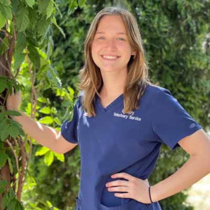 Images Country Veterinary Service