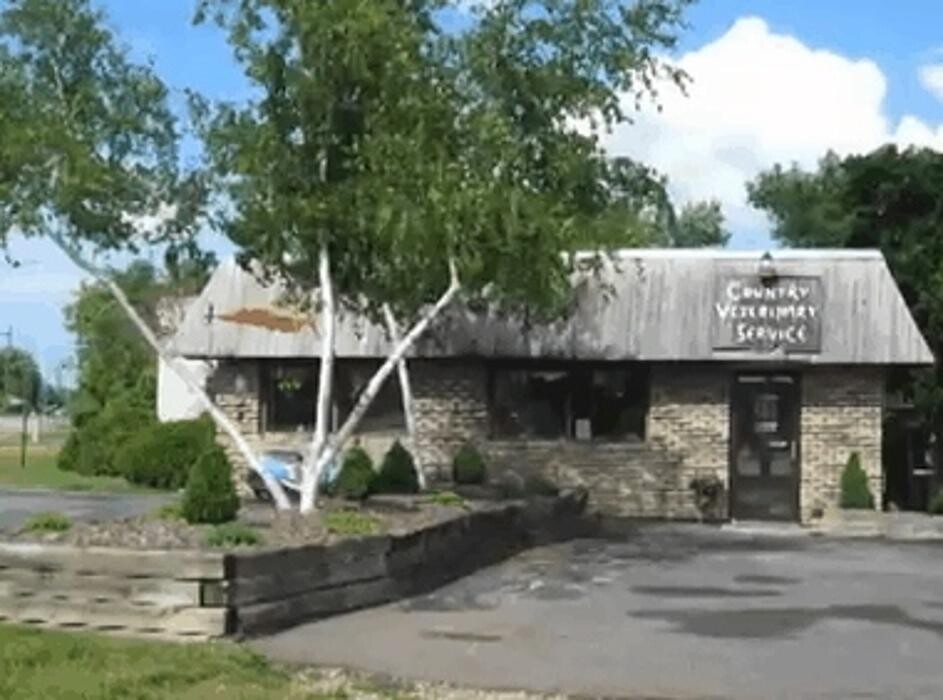 Images Country Veterinary Service