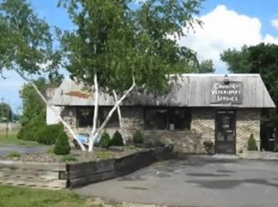 Images Country Veterinary Service