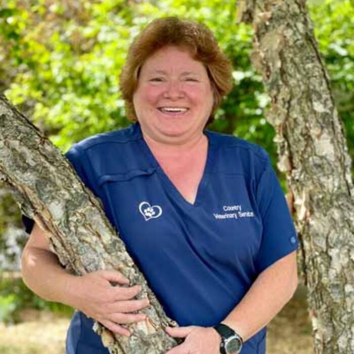 Images Country Veterinary Service