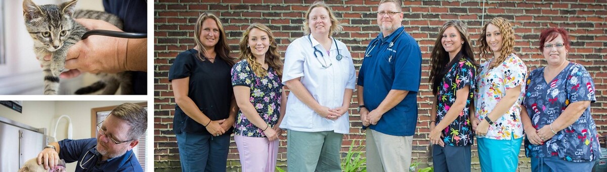 Images Skinner Animal Clinic