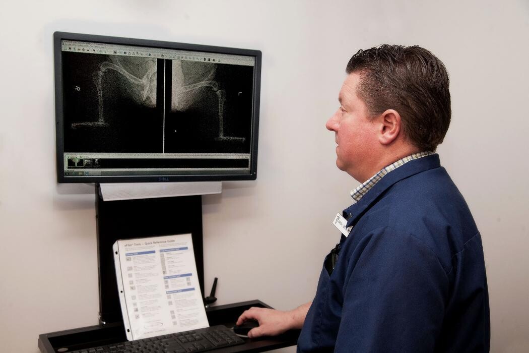 Images Rockford Veterinary Clinic