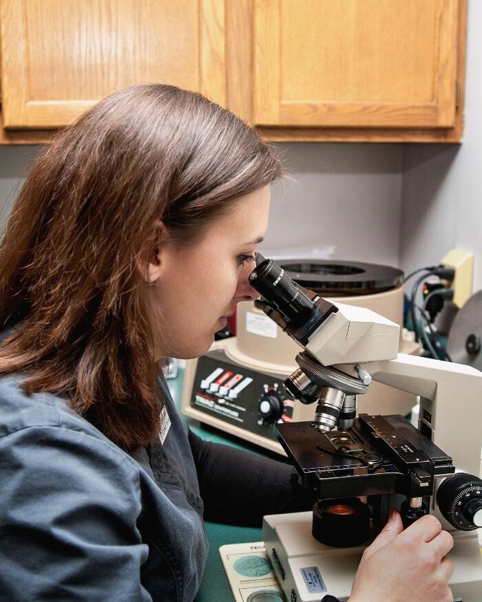 Images Rockford Veterinary Clinic