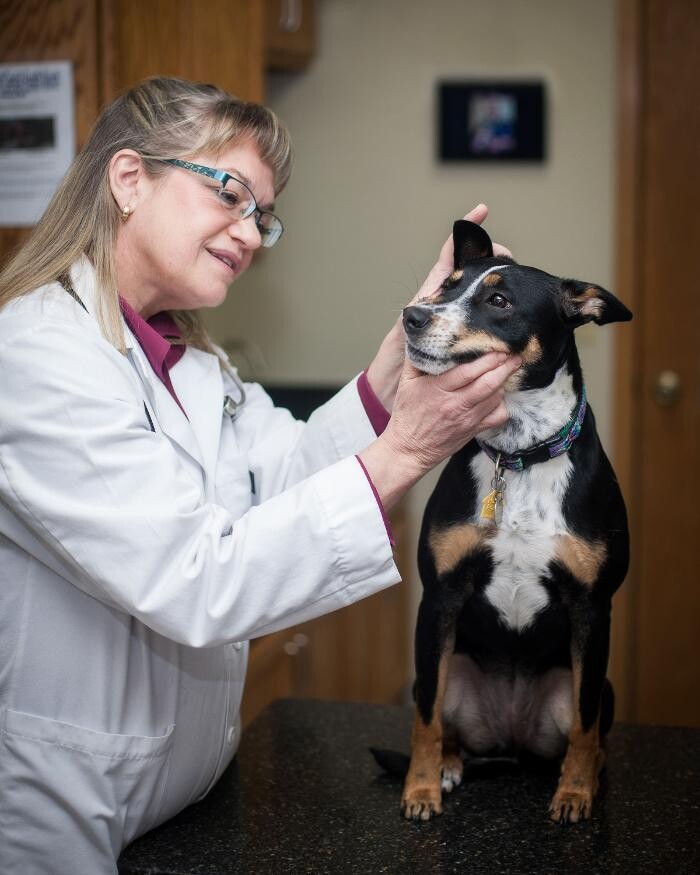 Images Rockford Veterinary Clinic